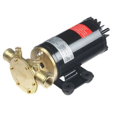 Johnson F4B-12 12V (BSP) Ballast PUMP 10-24690-09