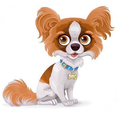 Papillon Hund