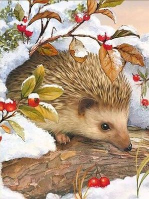 Igel und Preiselbeeren