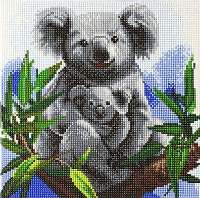 Koalas