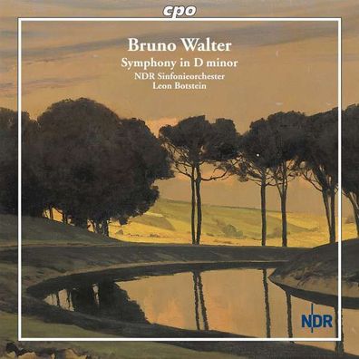 Bruno Walter (1876-1962): Symphonie d-moll - CPO 0761203716326 - (CD / Titel: A-G)