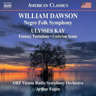 William Levi Dawson (1898-1990): Negro Folk Symphony - Naxos - (CD / Titel: H-Z)