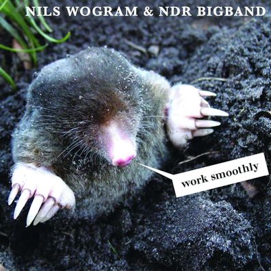 Nils Wogram: Work Smoothly - - (CD / W)