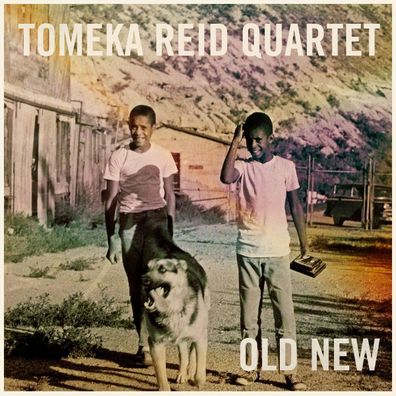 Tomeka Reid: Old New