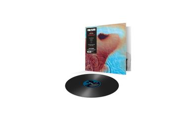 Pink Floyd: Meddle (remastered) (180g) - - (LP / M)