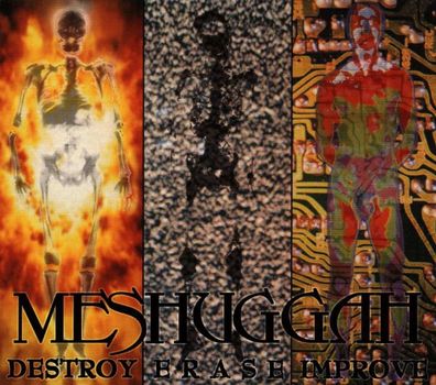 Meshuggah: Destroy Erase Improve