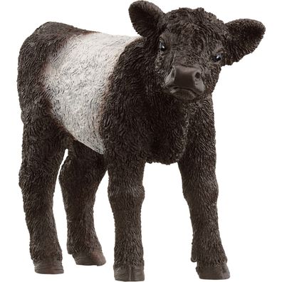 Farm World Galloway Kalb - Schleich 13969 - (Spielzeug / Spielfigur)