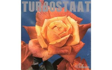 Turbostaat: Turbostaat: Schwan (180g) (Limited Edition)