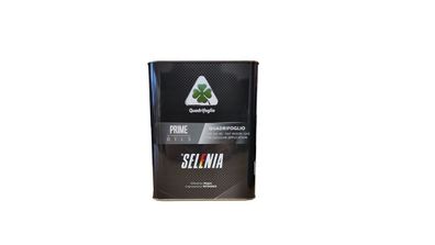 Selenia Quadrifoglio  5W-40  1 x 2 l Dose