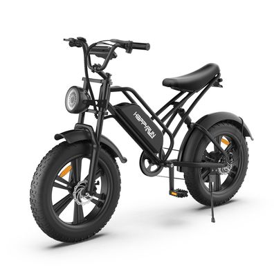 Happyrun E-Bike Crossrad Mountain E Bike 20 Zoll 48V 18Ah Fat Reifen Off Road E Bike