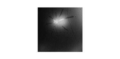 Touché Amoré: Touché Amoré: Spiral In A Straight Line - - (C