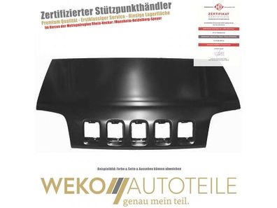 Motorhaube Diederichs 6425800