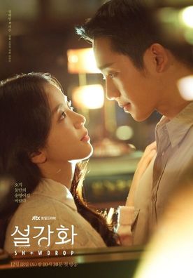 Snowdrop Korean Drama DVD English Subtitled Jung Hae In Kim Ji Soo