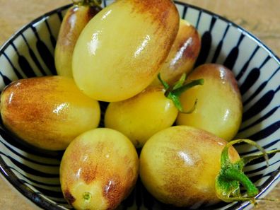 TOMATE Märchen ENGEL 5+ Samen - samenfeste honigsüsse Cocktailtomate P 613