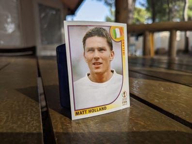 PANINI # 360 Matt Holland - IRLAND WM 2002
