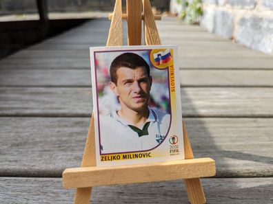 PANINI # 120 Milinovic - WM 2002 World Cup WC 02 Sticker Football