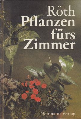 Pflanzen fürs Zimmer