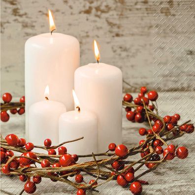 STEWO 2573 6376 20 Weihnachts Cocktailservietten - 25 x 25 cm, 20 Stück