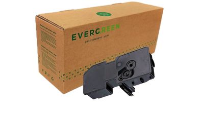 Evergreen 352912-031408 Alternativ Evergreen Toner-Kit schwarz (352912031408)