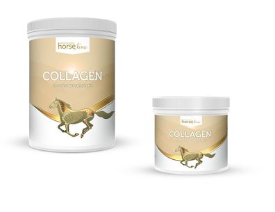 HorseLinePRO Collagen Schutz und Pflege für Sehnen und Gelenke