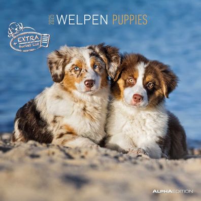 ALPHA 104066 Bildkalender Hundewelpen - 30 x 60 cm