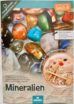 Mineralien Ausgrabung Set Moses Expedition Natur Kinderspiel Lernspiel 9834