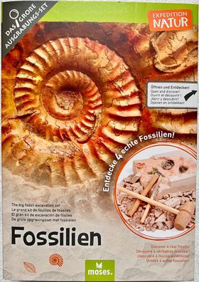 Fossilien Ausgrabung Set Moses Expedition Naturspiel Kinderspiel Lernspiel 9832