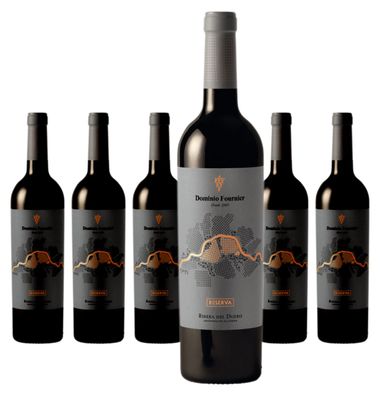 6 x Dominio Fournier Reserva – 2012