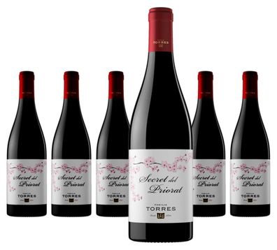 6 x Miguel Torres Secret del Priorat – 2021