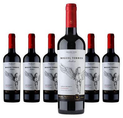 6 x Andica Gran Reserva Carmenere – 2021