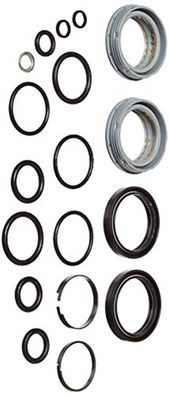 Lyric Dual Position Air AM 2012 Fork Service Kit, Basic