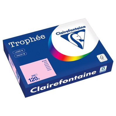 Clairefontaine Kopierpapier 1210PC A4 120g rosa 250Bl