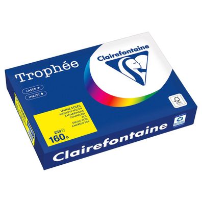 Clairefontaine Kopierpapier 1029PC A4 160g kanariengelb 250Bl