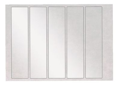 LEITZ 6651-00-03 Schutzetikett OrgacolorPlus glasklar