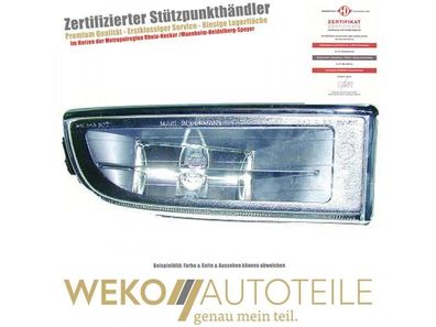 Nebelscheinwerfer rechts Diederichs 1242088 für BMW