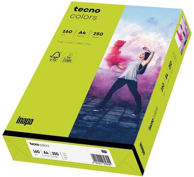 inapa 2100011370 Multifunktionspapier tecno® colors - A4, 160 g/qm, pastellhellgrü