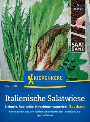 Italienische Salatwiese, Saatband, Zichorie, Radicchio, Hirschhornwegerich