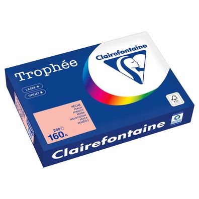 Clairefontaine Kopierpapier 1049PC A4 160g pfirsich 250Bl