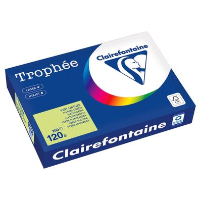 Clairefontaine Kopierpapier 1228PC A4 120g naturgrün 250Bl