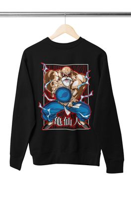 Bio Herren Pullover Sweatshirt Dragon Ball Son herr der schildkröten Muten-Roshi