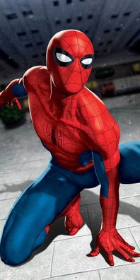Spiderman Duschtuch Badetuch Strandtuch Velourstuch 70 x 140cm