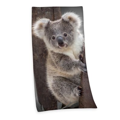 Velourstuch Duschtuch Badetuch Strandtuch mit Koala 75 x 150cm