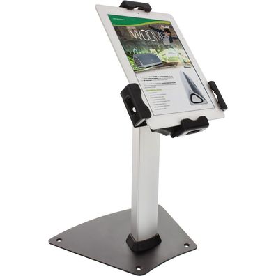 InLine® 23166C Tablet-Thekenhalterung zur Präsentation, abschließbar, universell