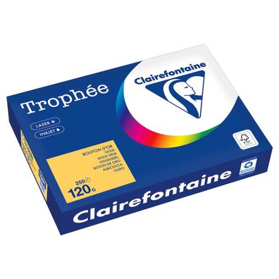 Clairefontaine Kopierpapier 1206PC A4 120g goldgelb 250Bl