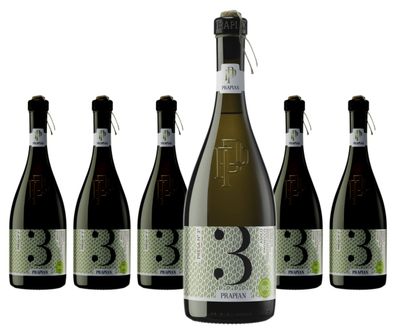 6 x Prapian 3 Volte Asolo Prosecco DOCG Vino Frizzante biologico spago