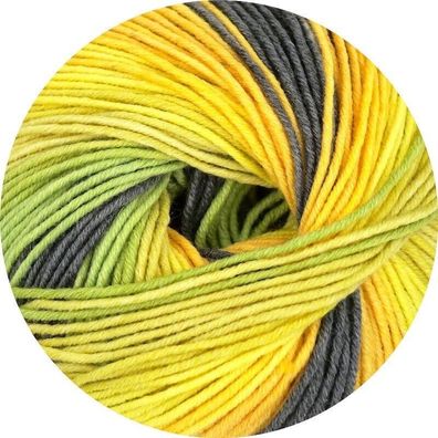 Online LINIE 110 Timona Design Color Merino superwash Farbverlauf neue Farbe 331