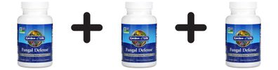 3 x Garden of Life Fungal Defense - 84 vcaps