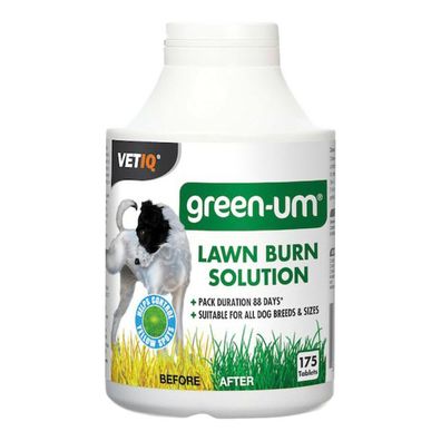 Tabletten Planet Line Green Um 100 Stück Default Title