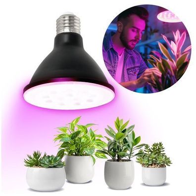 Glühbirne für wachsende Pflanzen LED PLANTY B E27 9W für Wachstum Beleuchtung Schwarz