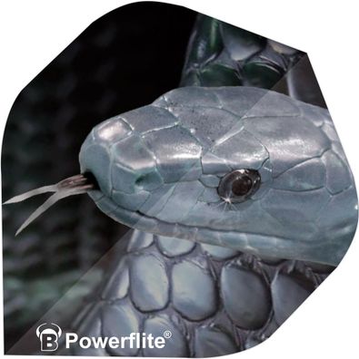 BULL'S Powerflite Standard A-Shape / 12 Satz / A-Standard